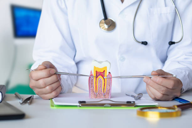 Best Urgent Dental Care in Harrisonville, MO